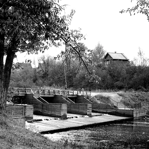 Пикник